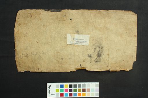 Śāraṅgadhara Saṃhitā manuscript preview