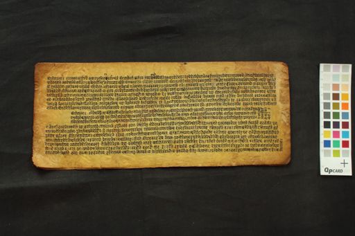 Amarkoṣa manuscript preview