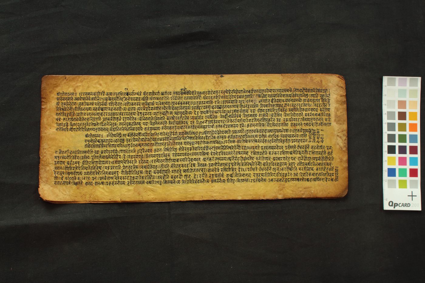 Amarkoṣa manuscript preview