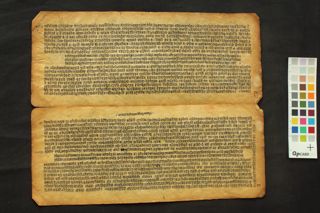 Amarkoṣa folio 4
