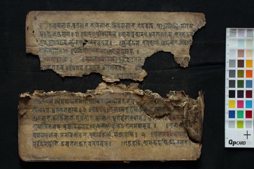Daśāphala manuscript preview