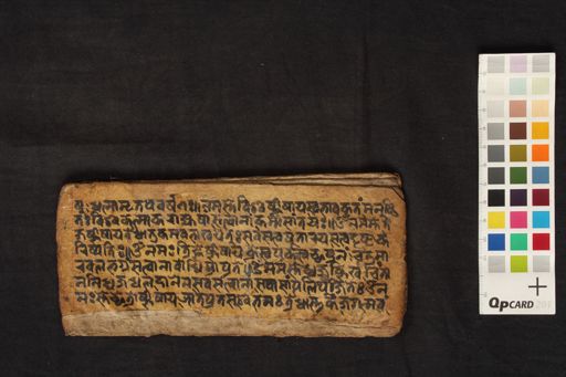 Durgati Pariśodhana manuscript preview