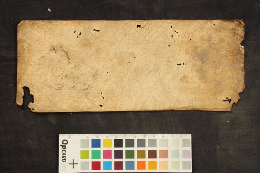 Ārya Mahāpratisarā manuscript preview
