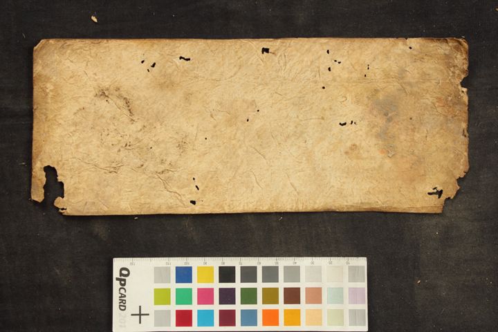 Ārya Mahāpratisarā manuscript preview