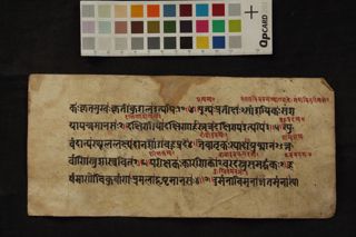 Amarakośa (Kāṇḍa-3) folio 4