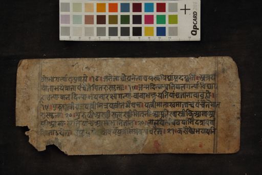 Cāṇakyasāra saṃgrah manuscript preview