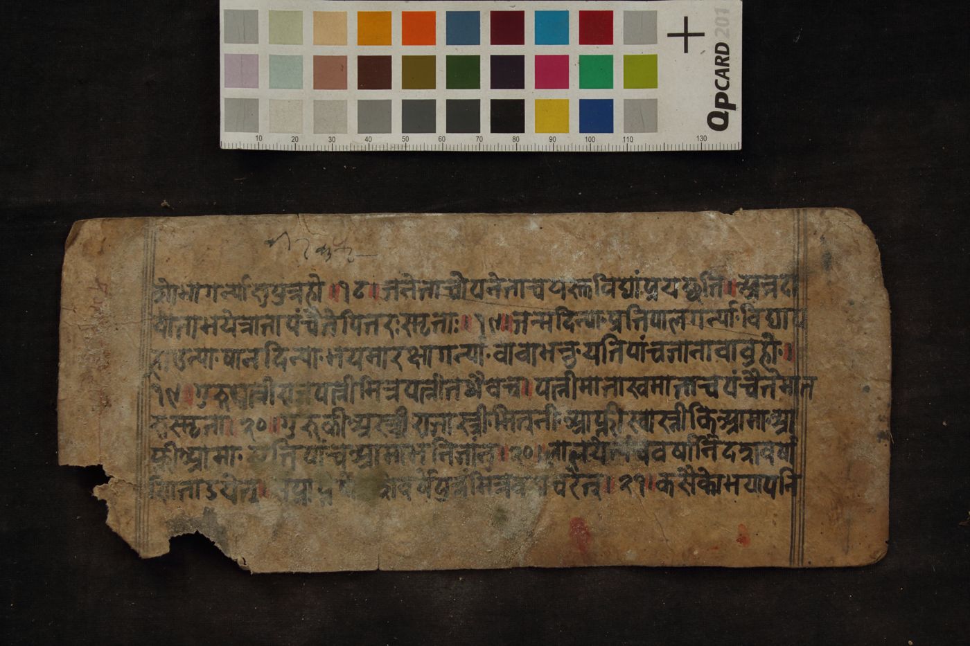 Cāṇakyasāra saṃgrah manuscript preview
