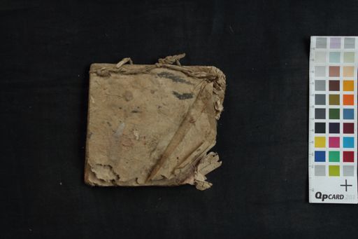 Manuscript related to Tantra manuscript preview