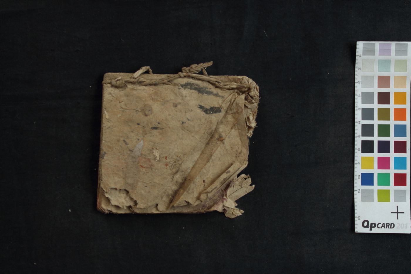 Manuscript related to Tantra manuscript preview