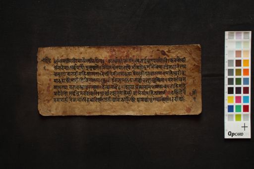 Anonymus Collection representative manuscript