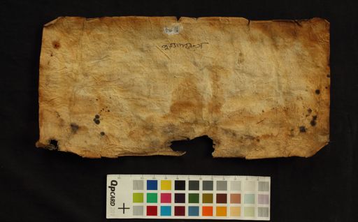 Nirmala KC Collection representative manuscript