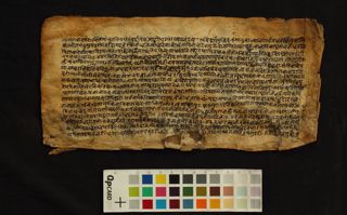Bhūtaḍāmara Tantra folio 3