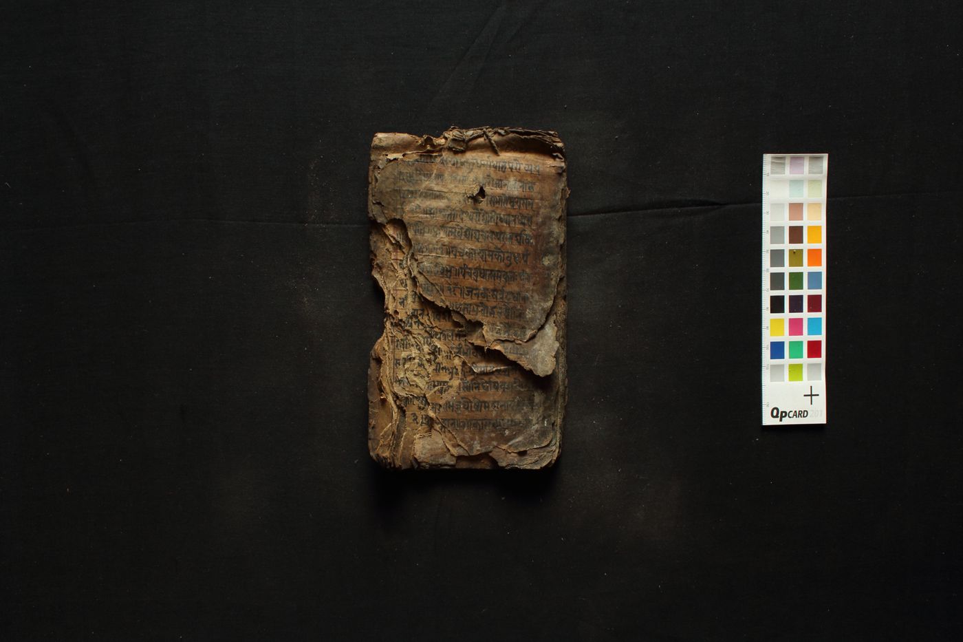 Composite manuscript- manuscript preview