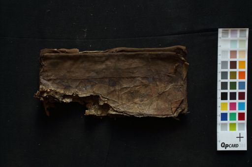 Pūjā Vidhi manuscript preview