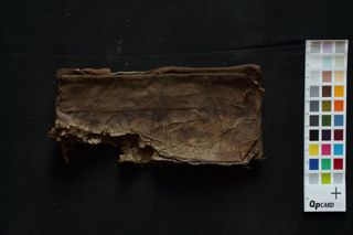 Pūjā Vidhi folio 1