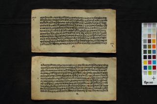 Rāmtāpanī Upaniṣada and Rāmottāratapanī Upaniṣada folio 3