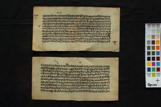 Rāmtāpanī Upaniṣada and Rāmottāratapanī Upaniṣada folio 4