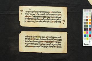 Viṣṇu Sahasranāma stotra folio 3