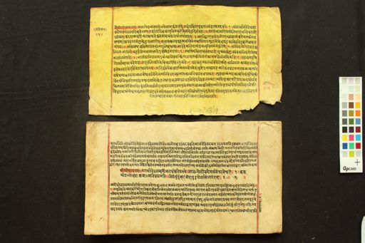 Raghuvaṁśam manuscript preview