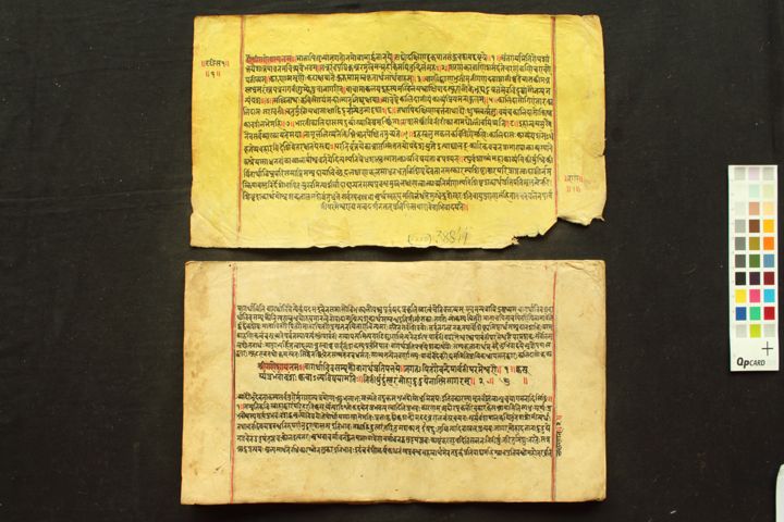 Raghuvaṁśam manuscript preview