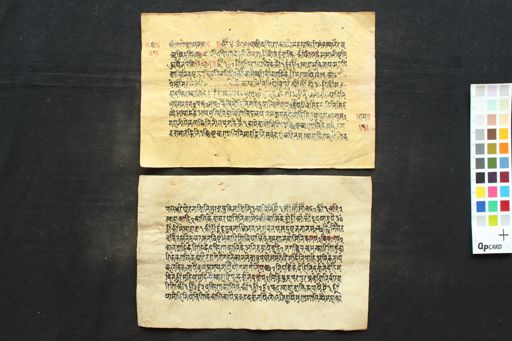 Dakṣinā kālī sahasrākṣarī Stotra manuscript preview
