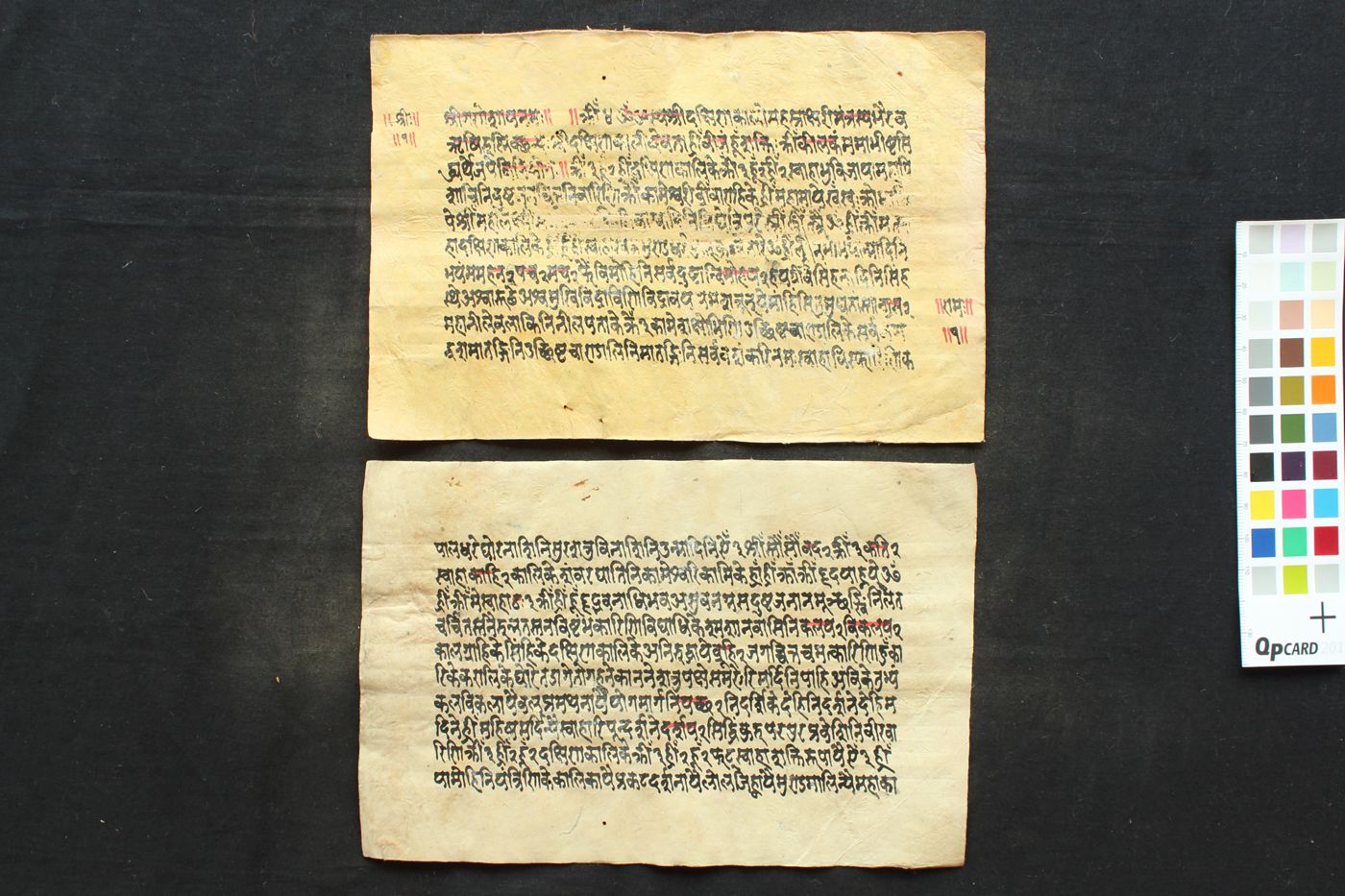 Dakṣinā kālī sahasrākṣarī Stotra manuscript preview