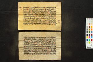 Dakṣinā kālī sahasrākṣarī Stotra folio 3