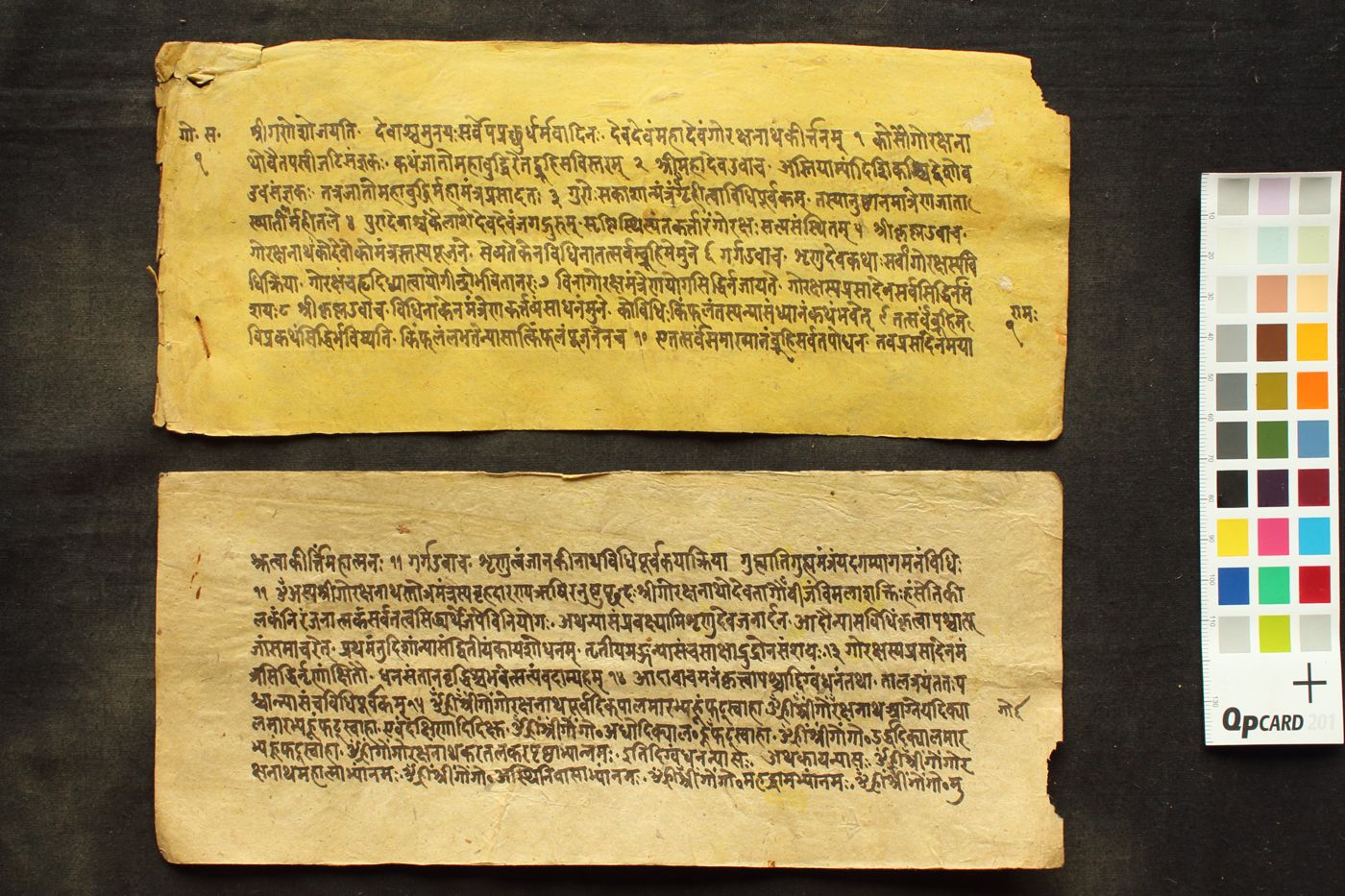 Gorakṣanātha Stotra manuscript preview