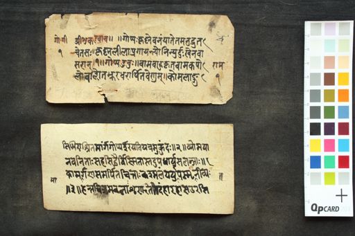 Gopīkānugīta manuscript preview