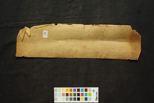 Kālikā Purāṇa manuscript preview