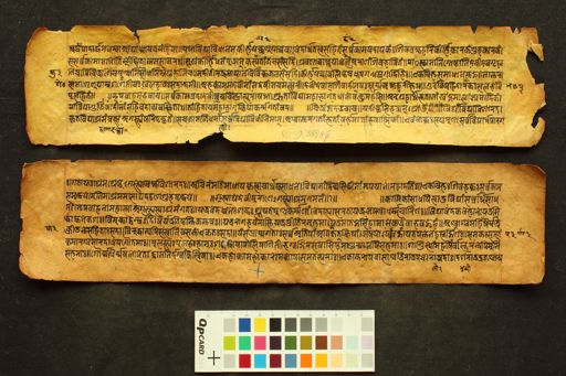 Devī Purāṇa manuscript preview
