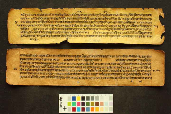 Devī Purāṇa manuscript preview