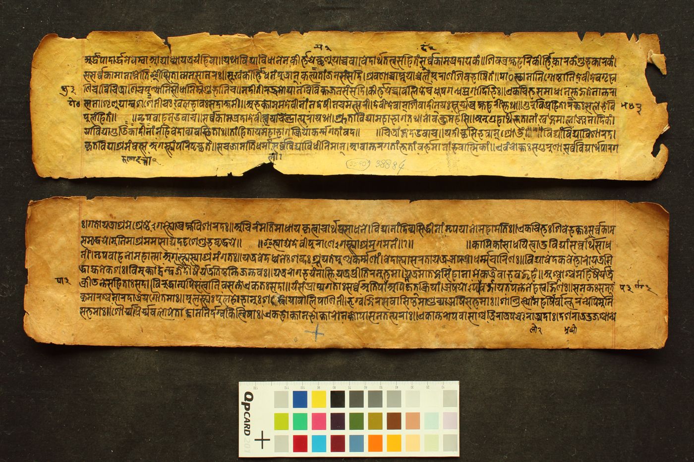 Devī Purāṇa manuscript preview