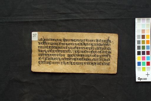 Laghustava manuscript preview