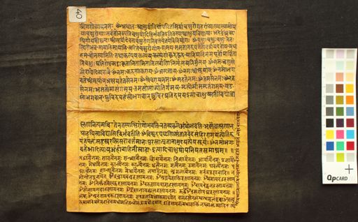 Cākṣuṣopaniṣad manuscript preview