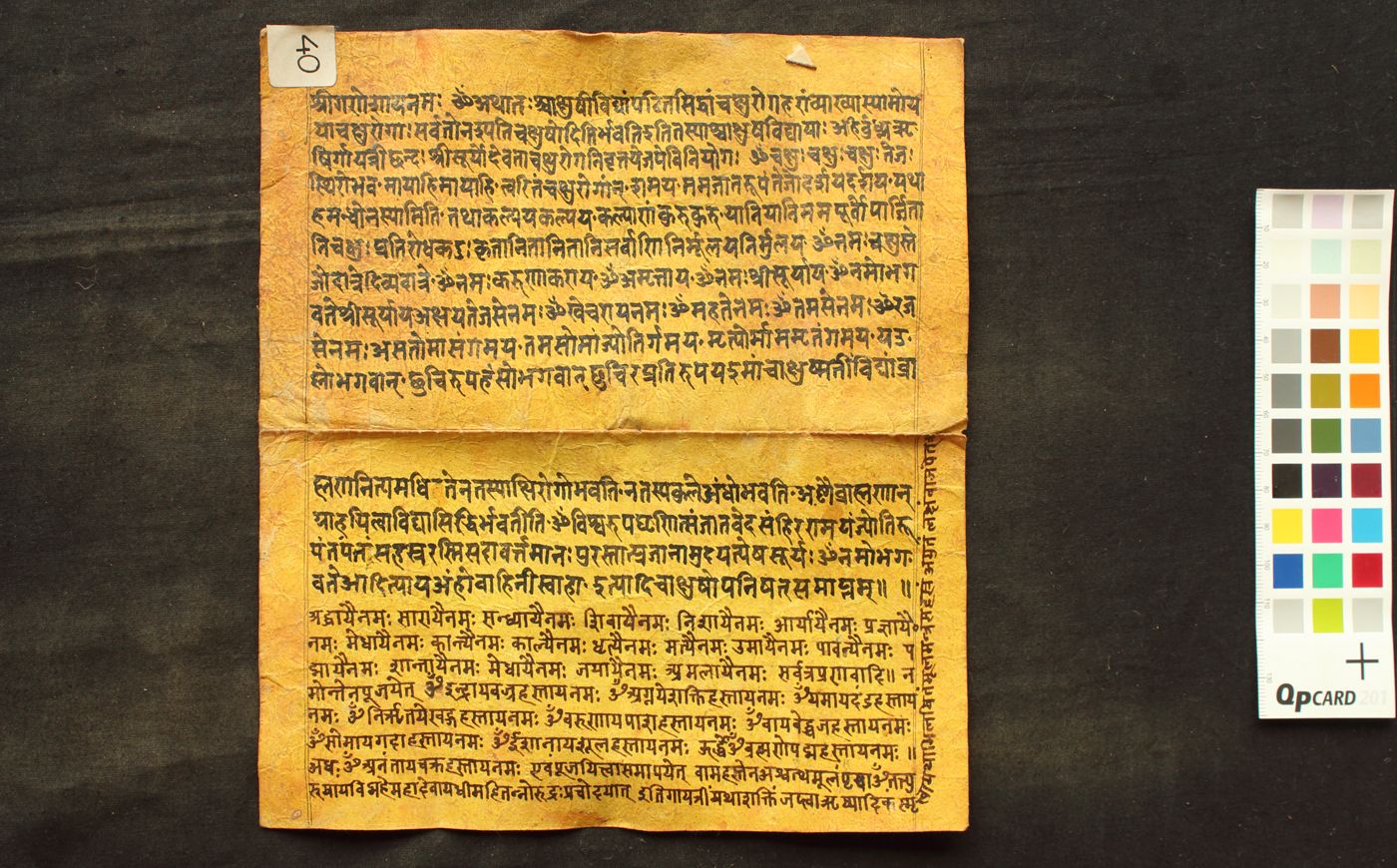 Cākṣuṣopaniṣad manuscript preview