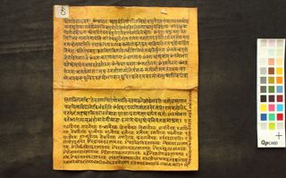 Cākṣuṣopaniṣad folio 1