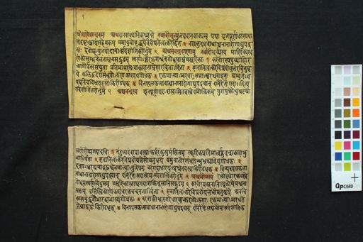 Navagraha Dāna Vidhi manuscript preview