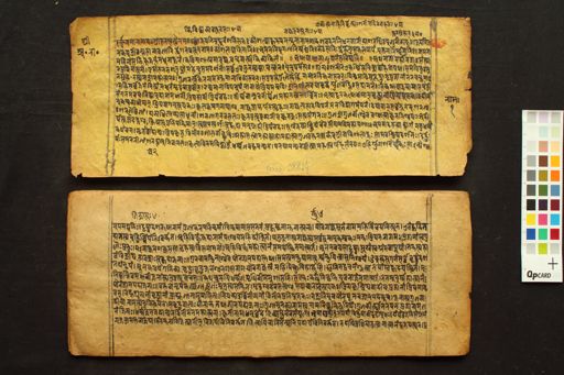 Rāmāyaṇa (Ayodhyākāṇḍa) manuscript preview
