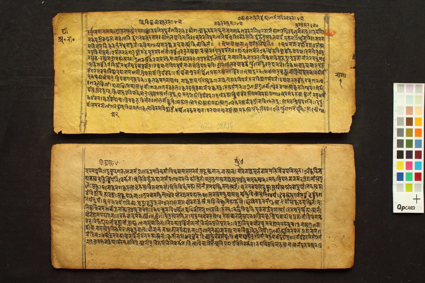 Rāmāyaṇa (Ayodhyākāṇḍa) manuscript preview