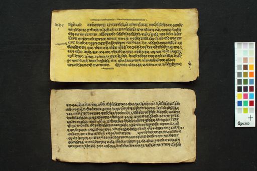 Siddhānta Kaumudī manuscript preview