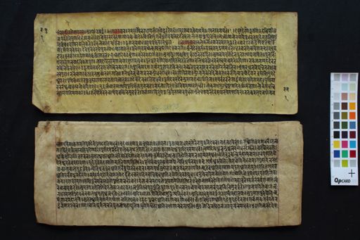 Varāha Purāṇa manuscript preview