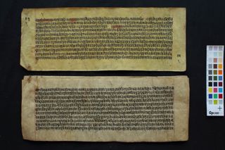 Varāha Purāṇa folio 1