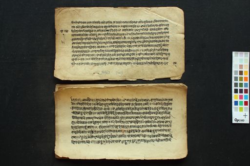 Ratnāvalīsāra (Homaratna) manuscript preview