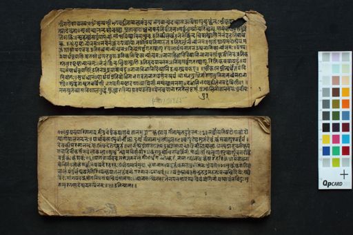 Bhagavadgītā with Newārī translation manuscript preview
