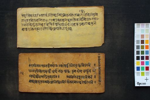 Composite text (Puruṣa Sukta, Rudrābhiṣeka śatarudra, Bilvapañcakam) manuscript preview