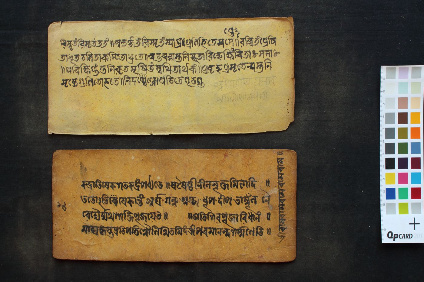 Composite text (Puruṣa Sukta, Rudrābhiṣeka śatarudra, Bilvapañcakam) manuscript preview
