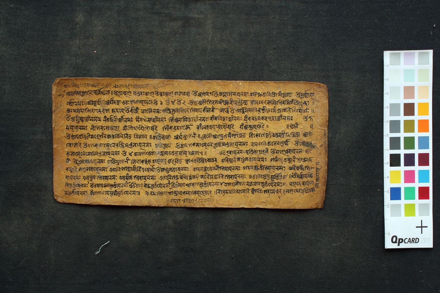 Śiva Pūjā manuscript preview