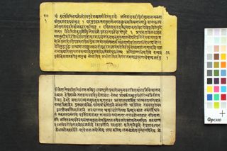 Composite Manuscript (Saṃskṛita Mañjarī and Trayambaka Stotra) folio 1
