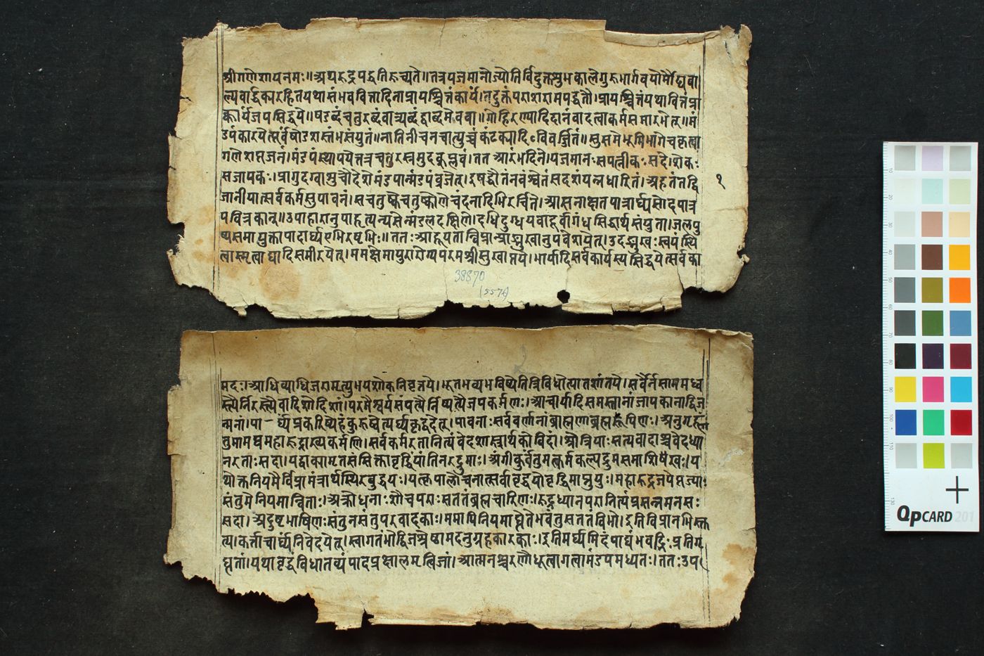 Yajñarudra Paddhati manuscript preview